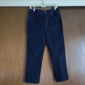 Gloria Vanderbilt Dark Blue Straight Leg Jeans, Amanda style.